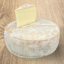 Französischer Tomme de Montagne