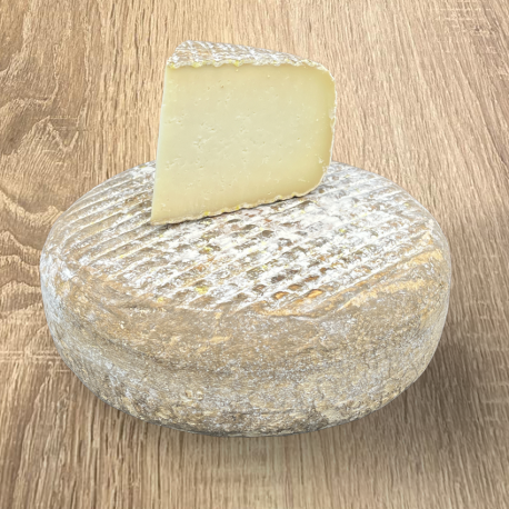 Französischer Schafsbergkäse aus den Pyrenäen